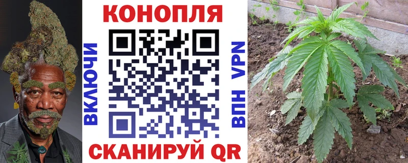 Каннабис Amnesia  гидра как зайти  Учалы  где купить наркотик 